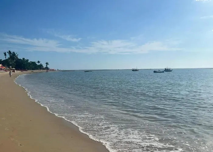 Lindo Apartamento A Beira Mar- Praia Do Muta